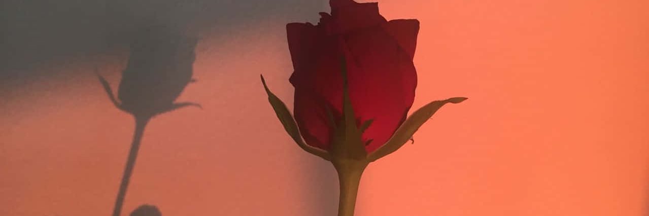 dollfacedki's profile banner image