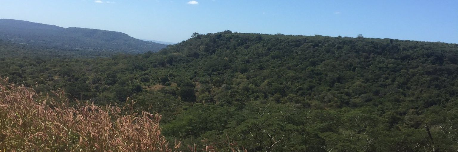 EdwardPalls's profile banner image