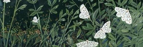 StanislavaY's profile banner image