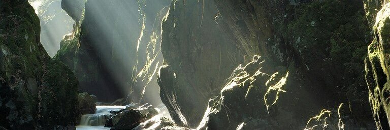 wojtek_all's profile banner image