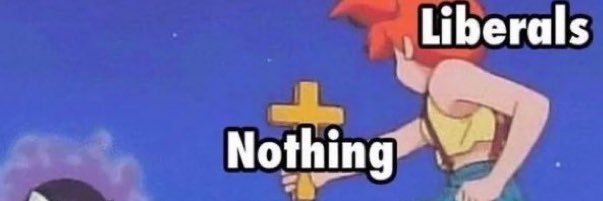 🇵🇸Healthcare Pony ☭ 🏳️‍🌈🏳️‍⚧️ banner