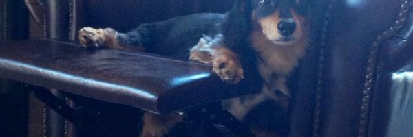 StanMeyers Profile Banner