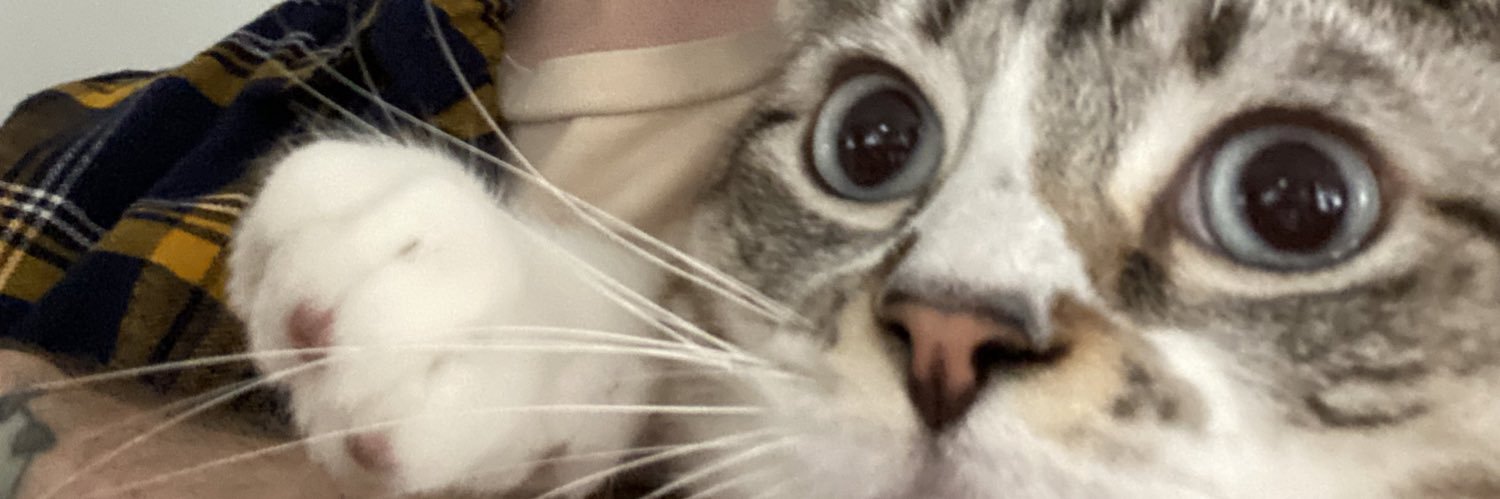 ThomcatDanger's profile banner image