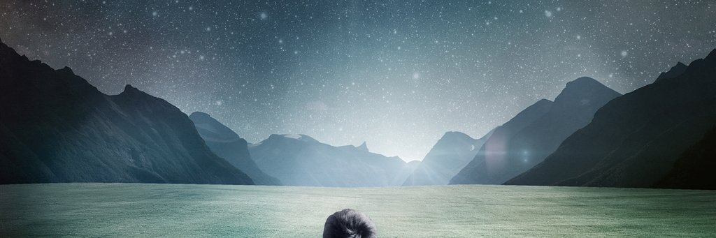 ChristmasRose66's profile banner image