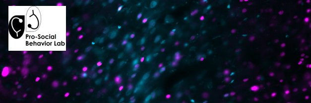 Inbal Ben-Ami Bartal banner