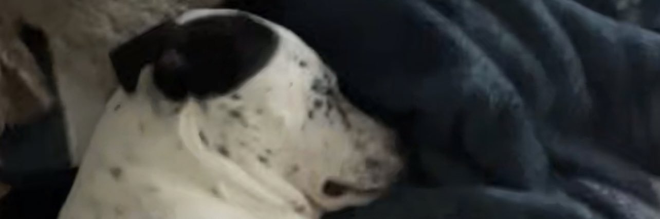 chittybangxo's profile banner image