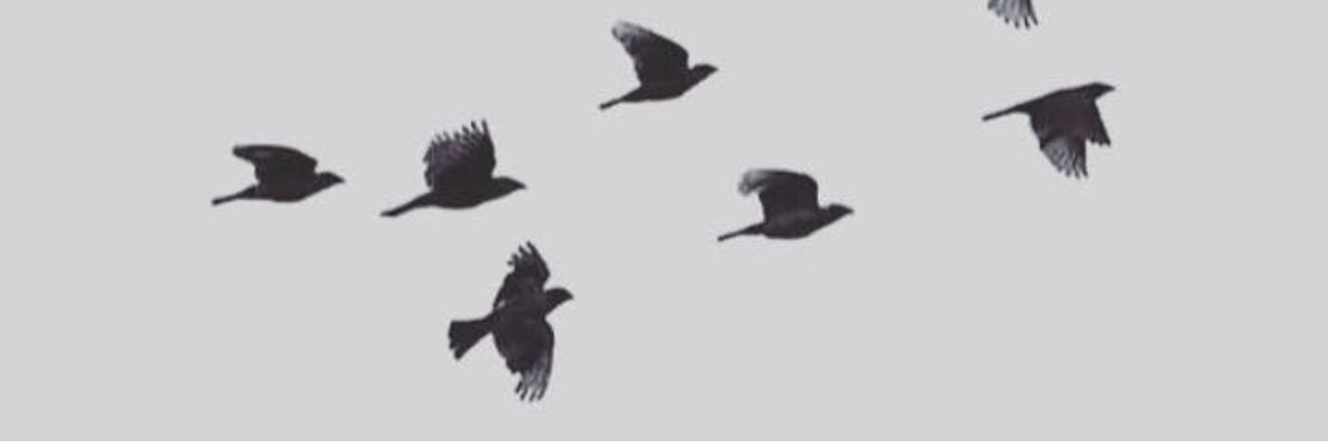 Malak_alb2's profile banner image