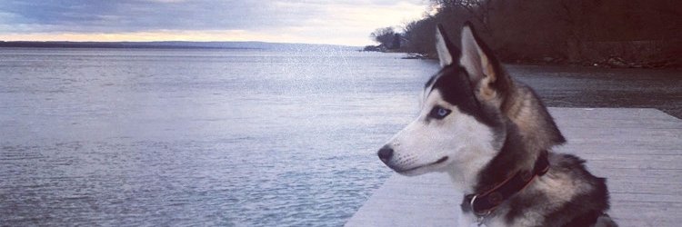 Luke_Harer's profile banner image
