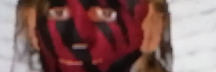 dem bones 🏴‍☠️ banner