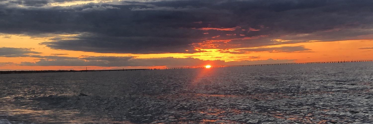 mikesarvervb's profile banner image