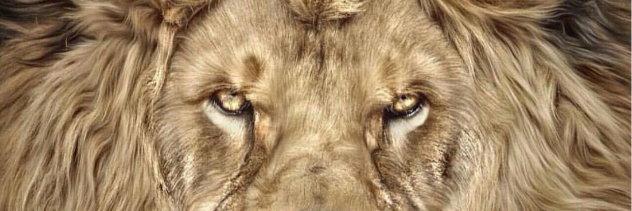 TheRealGym_Life's profile banner image