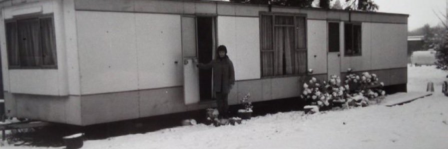 shelley hastings banner