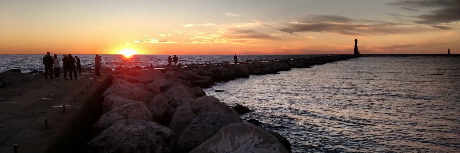 MLupa6's profile banner image