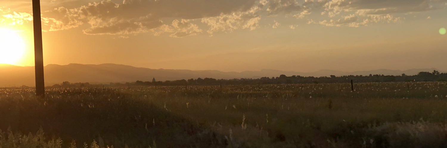 gracyjohnson__'s profile banner image