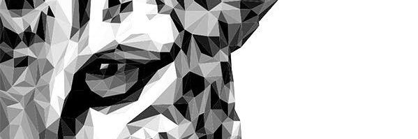 hala_678's profile banner image