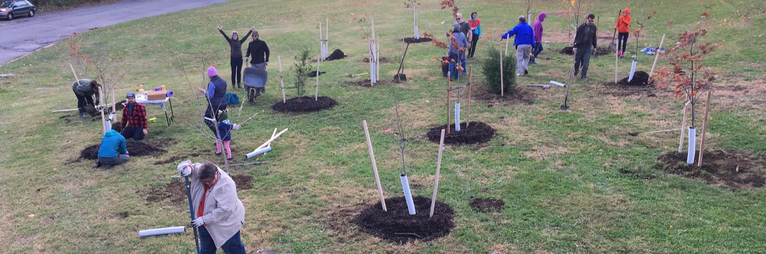 TreeBaltimore banner