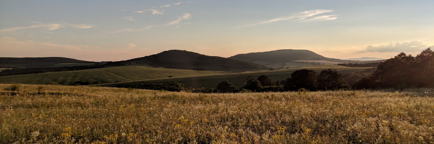 RolandMostoha's profile banner image