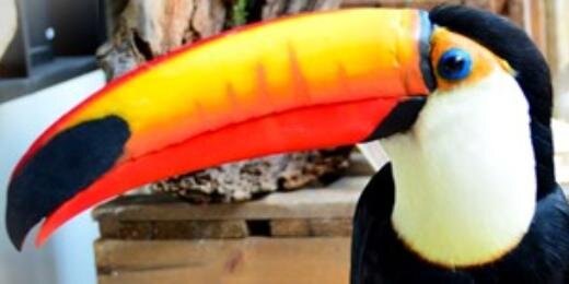 deMuseumwinkel banner