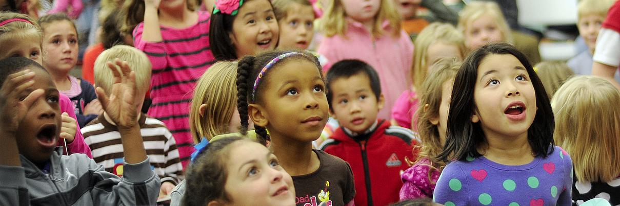 St. Louis County Library banner