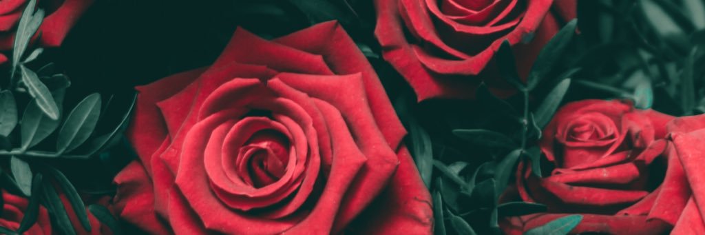 adangelooo's profile banner image