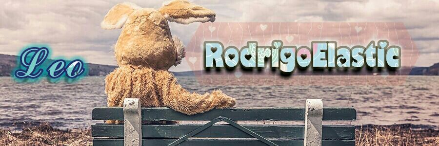 RodrigoElastic's profile banner image
