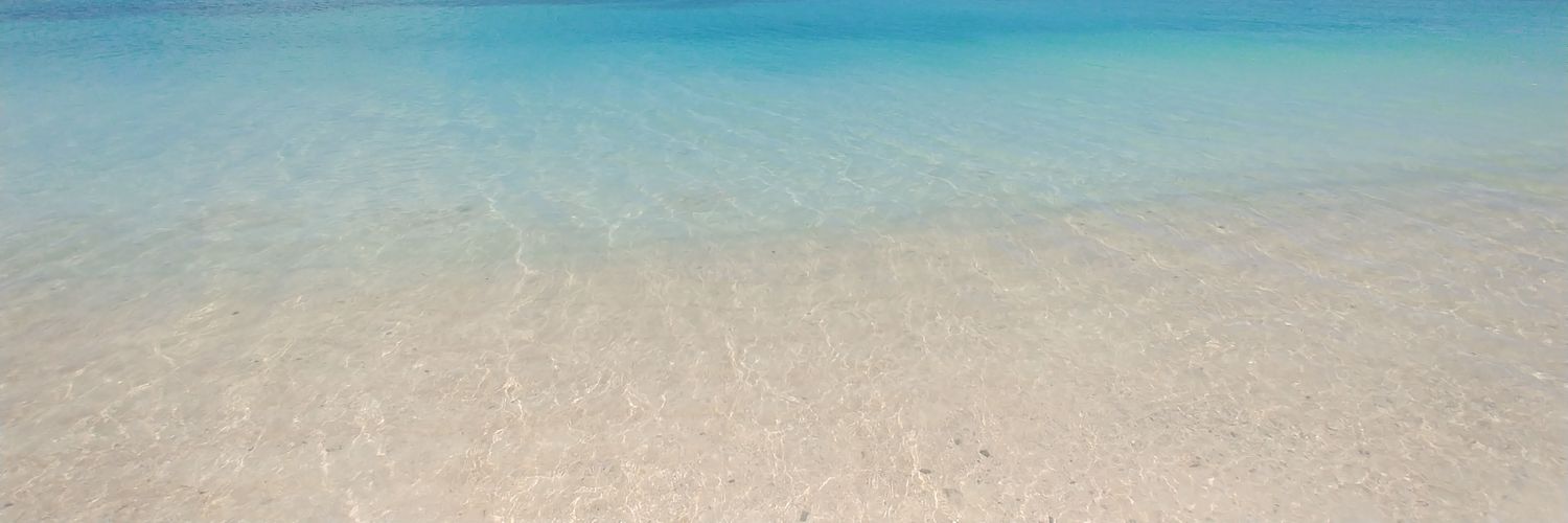 anonnumber9's profile banner image