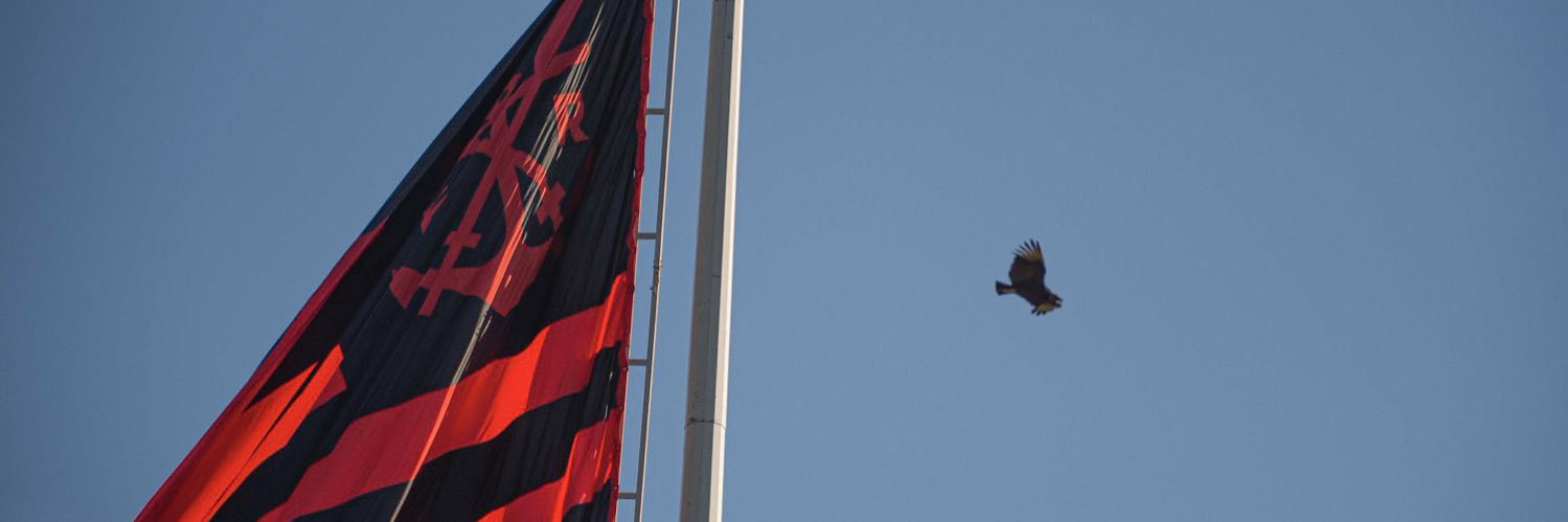 arthur𓅐 banner