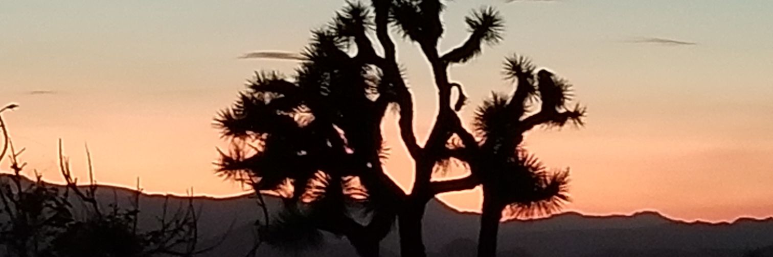 dawnrowe68's profile banner image
