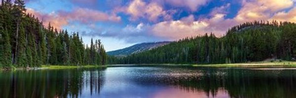 joshua_welch1 Profile Banner