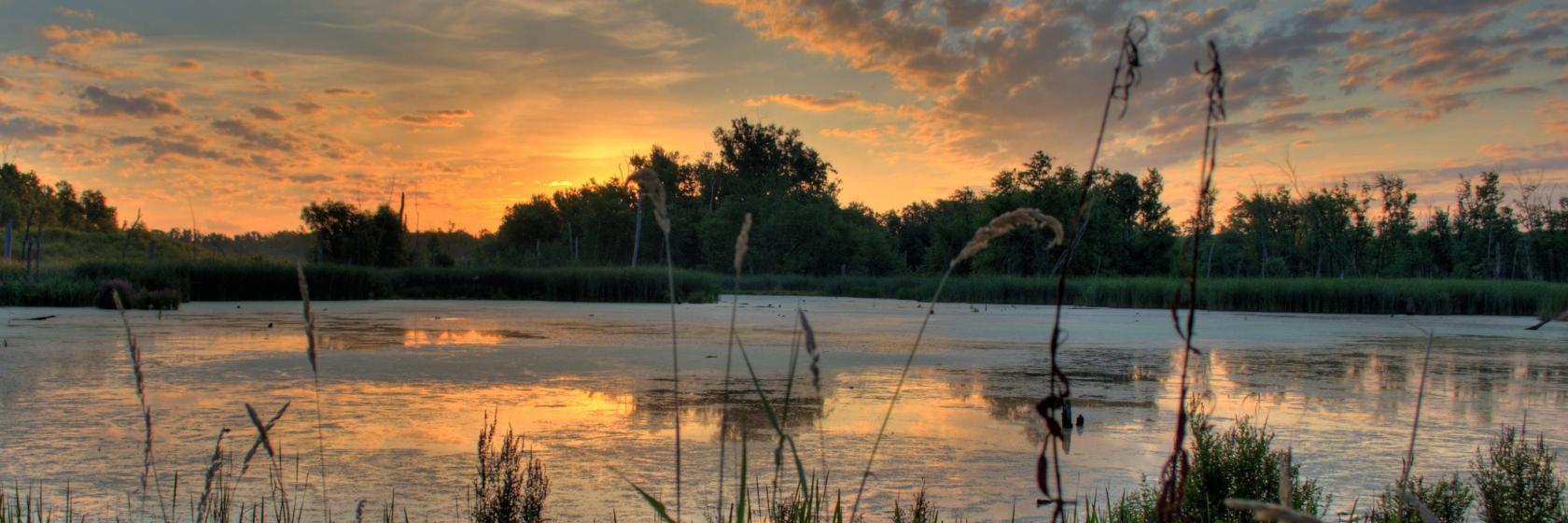 Southern Fowler Co. banner