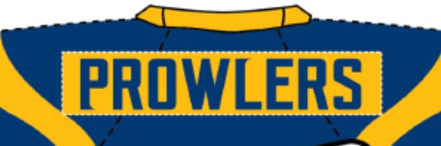 gopherpuck91's profile banner image