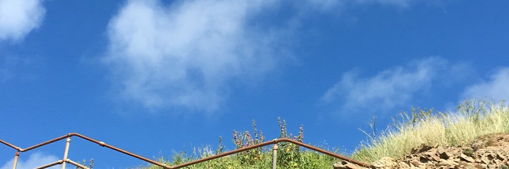 drmelgriffiths's profile banner image