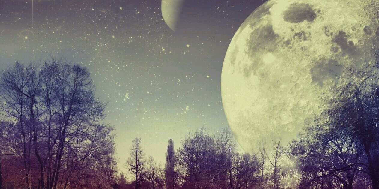 lildillybar's profile banner image