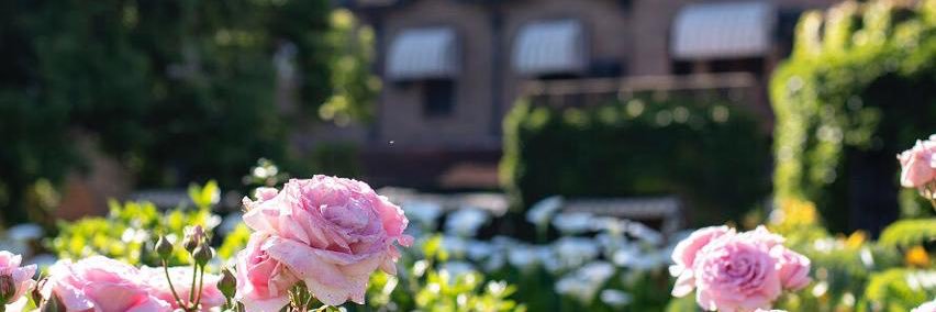 HURLINGHAM CLUB banner