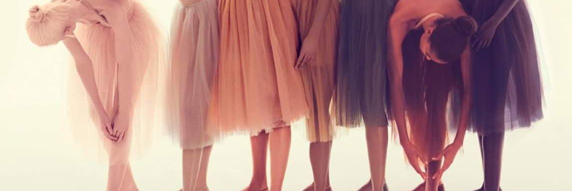 LadyAlbos's profile banner image