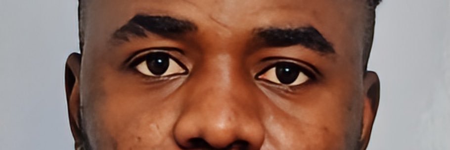 liljodyman's profile banner image