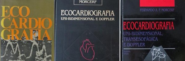 fpmorcerf Profile Banner
