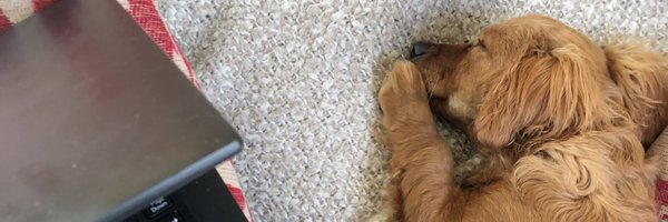 MartinRemains Profile Banner