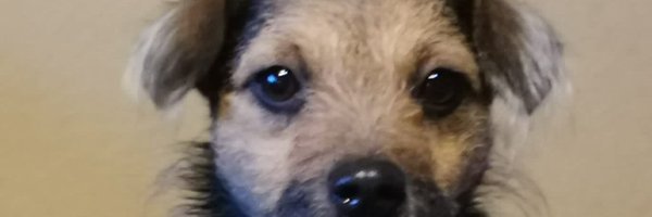 samkirketh Profile Banner