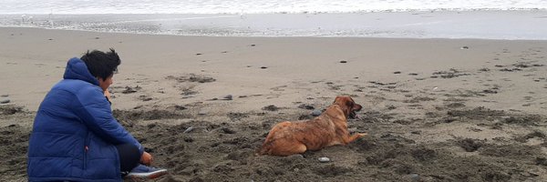 comepera Profile Banner