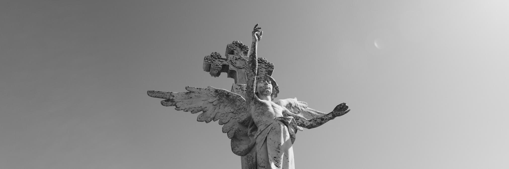 PaoSnider's profile banner image