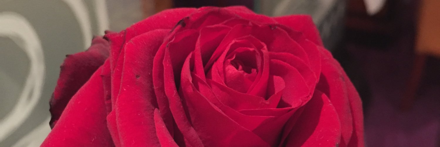 LGwillim's profile banner image