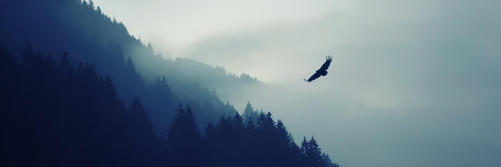 Martinyver's profile banner image