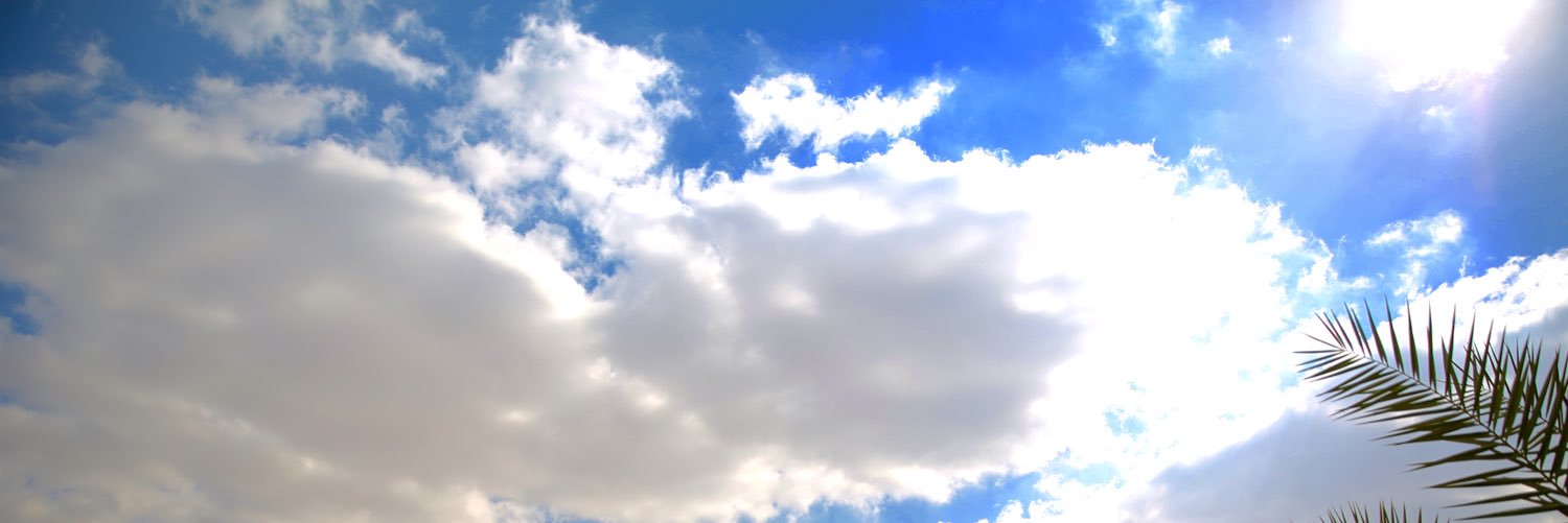 burgeralexander's profile banner image
