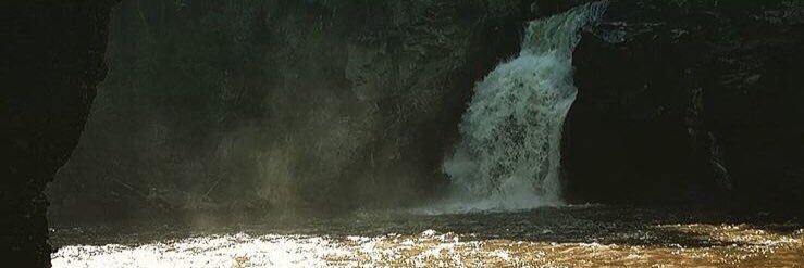 warrenburroughs's profile banner image
