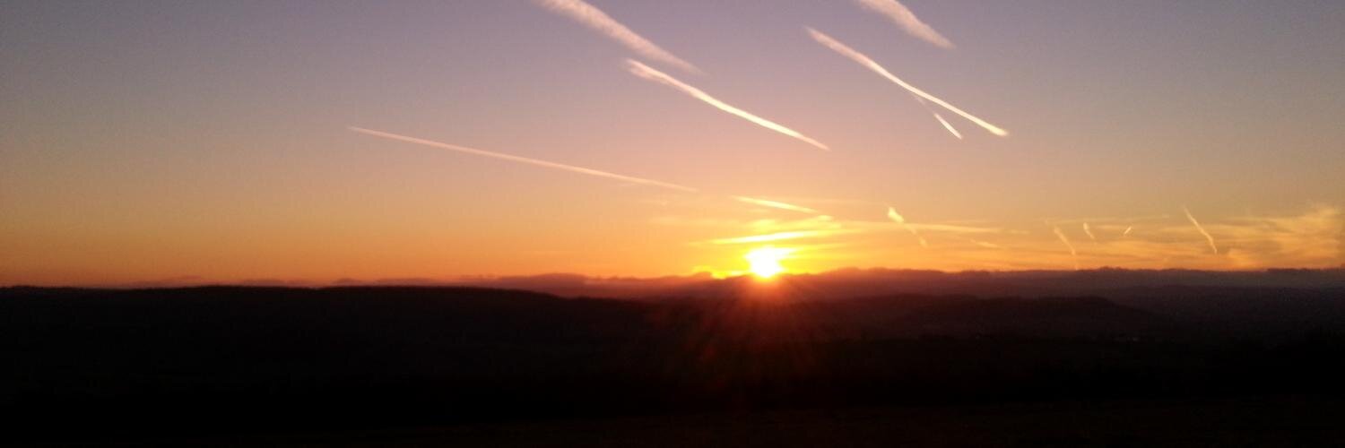 AliceScrivens's profile banner image