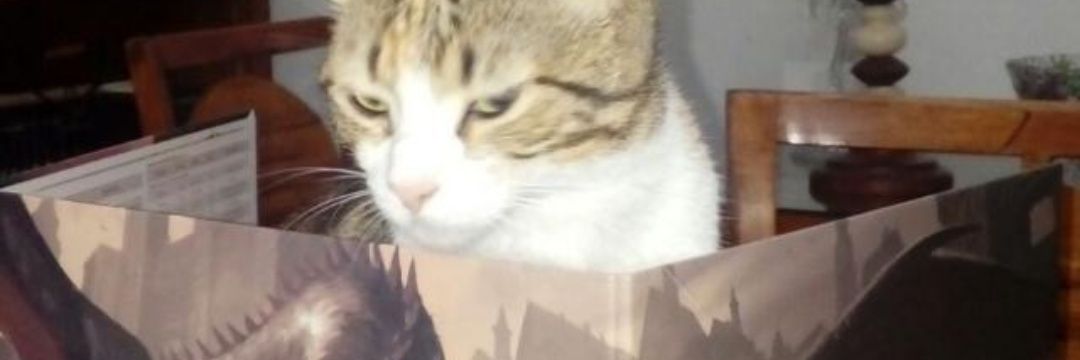 Edgartim4's profile banner image
