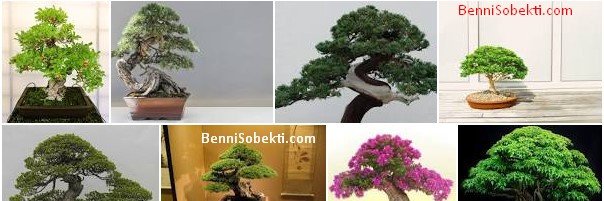 ibandiven's profile banner image