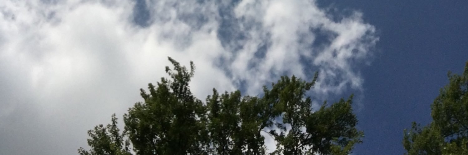 nuclear_winters's profile banner image
