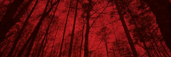 beyondGrandine Profile Banner